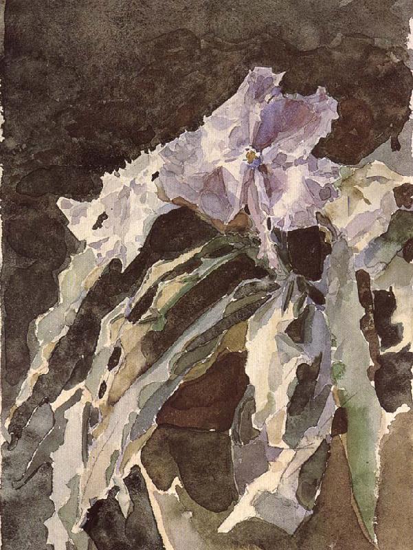 Mikhail Vrubel Orchid Spain oil painting art